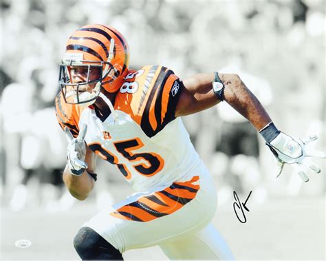 Chad 'Ochocinco' Johnson Signed Bengals 16x20 Photo (JSA) | Pristine Auction