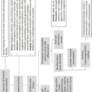 Diagnostic pathway for livedoid vasculopathy. | Download Scientific Diagram