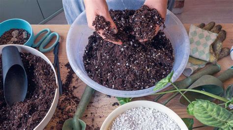 How To Make Potting Soil Mix | Storables