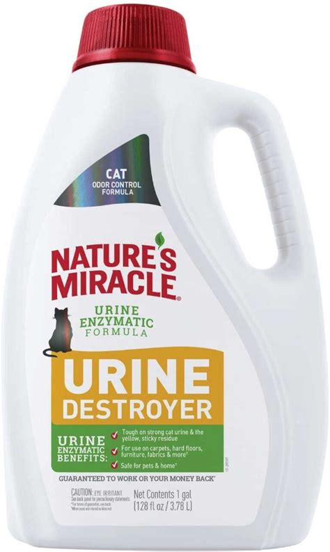 Best Cat Urine Remover Reviews 2022 | Safest Method