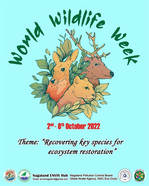 World Wildlife Week-2 to 8 October 2022-Poster – Nagaland Pollution Control Board