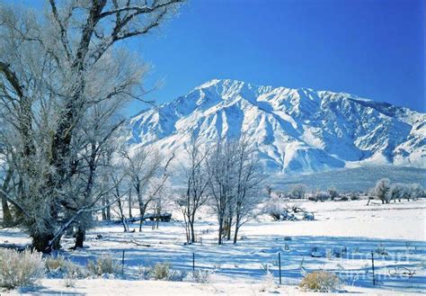 Snow near Bishop California Photograph - Snow | Bishop california ...