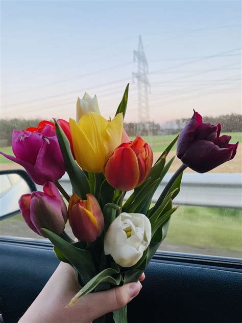 Easter Tulips 😍🌷 in 2020 | Tulips, Garden, Plants