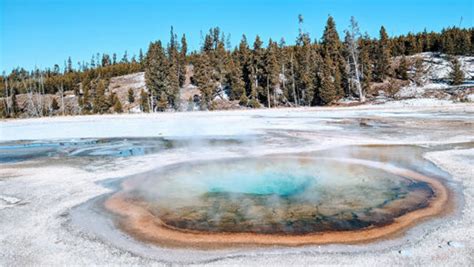 Yellowstone in Winter: Everything You Need to Know for A Spectacular ...