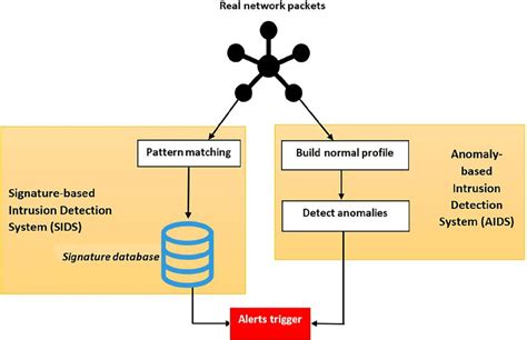 SIDSs vs AIDSs detection main phases. AIDSs, anomaly‐based intrusion... | Download Scientific ...