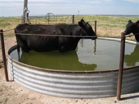 Livestock Water Tanks - Gay And Sex