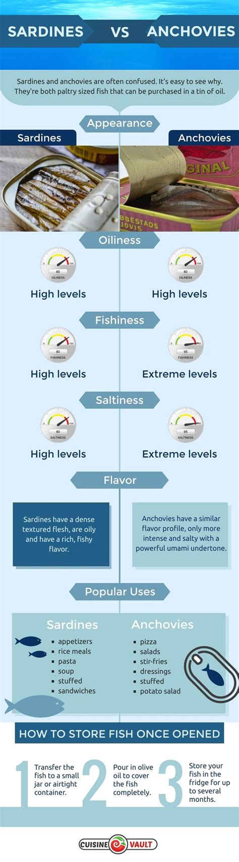 Sardines Vs Anchovies | Sardines, Sardine recipes, Anchovies