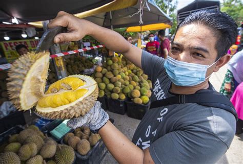 Durian Season Malaysia 2021 - MymagesCentral