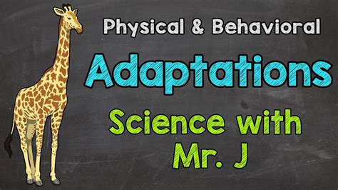 What are Adaptations? | Physical Adaptations & Behavioral Adaptations ...