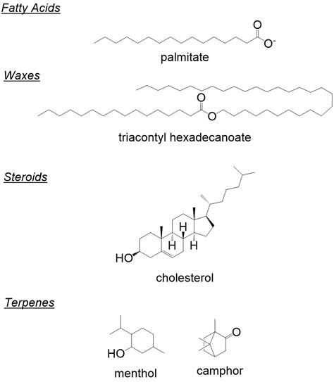 Organic Chemistry of Lipids