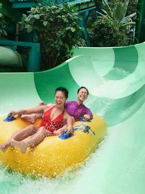 Adventure Cove Waterpark Tickets 2023 – Save 10%