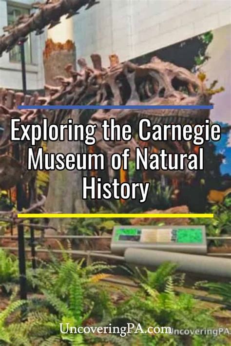 Exploring Dinosaurs, Gems, and World History at the Fantastic Carnegie ...