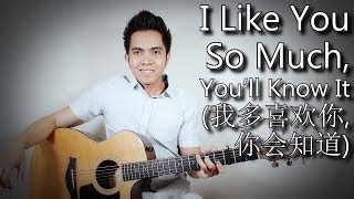 I Like You So Much, You’ll Know It [我多喜欢你，你会知道] A Love So Beautiful OST (fingerstyle guitar ...