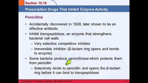 3B 10.10 Prescription Drugs That Inhibit Enzyme Activity - YouTube