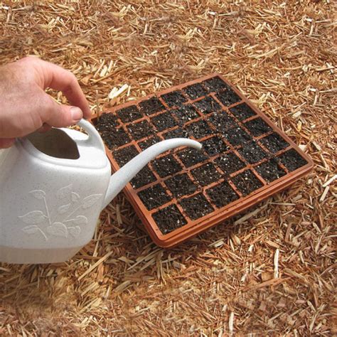 Watering Your Seedlings - Fine Gardening