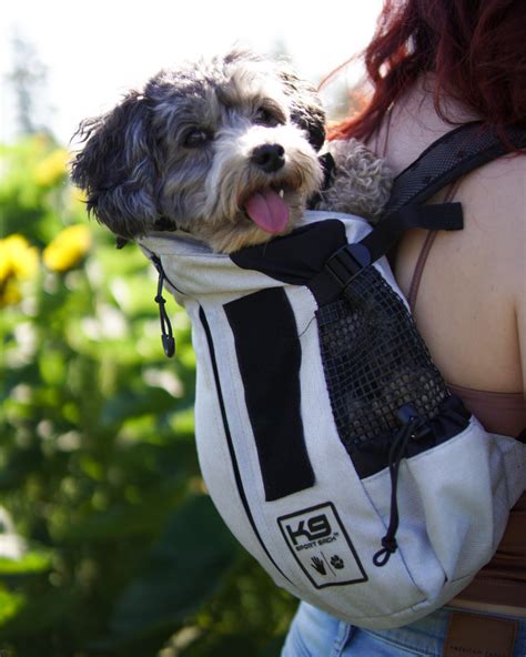 The Best Dog Backpack for Travel - Lez See the World