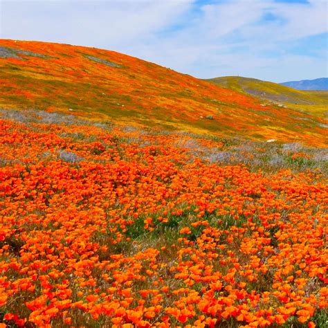 The Most Beautiful Places in California You Never Knew Existed | Most beautiful places ...
