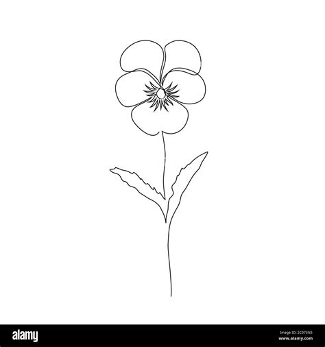 Violet flower on white Stock Vector Image & Art - Alamy