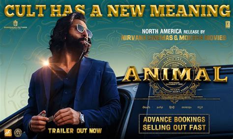 Unprecedented Demand For Animal Bookings In USA