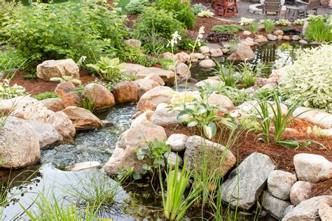 Edging and Planting a Natural Pond | Twin Cities, Minneapolis, St Paul ...