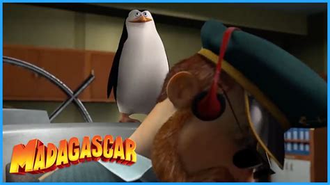 DreamWorks Madagascar | The Penguins Takes Over The Ship | Madagascar Movie Clip - YouTube