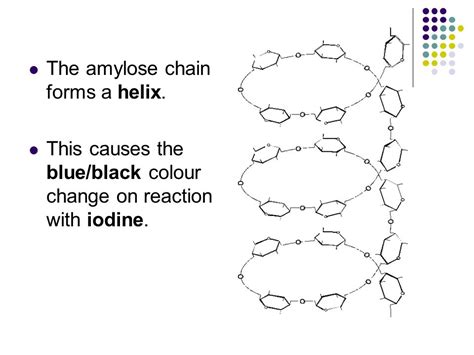 Amylose Structure Helix