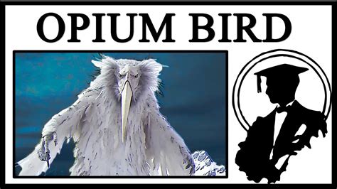 Is The Opium Bird Real? - YouTube