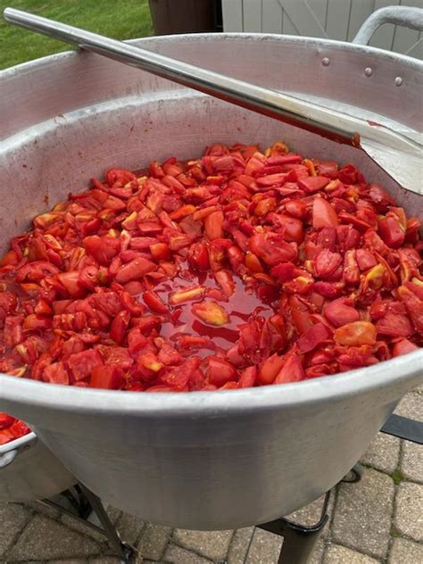 Canned Tomato Puree - Abma's Farm