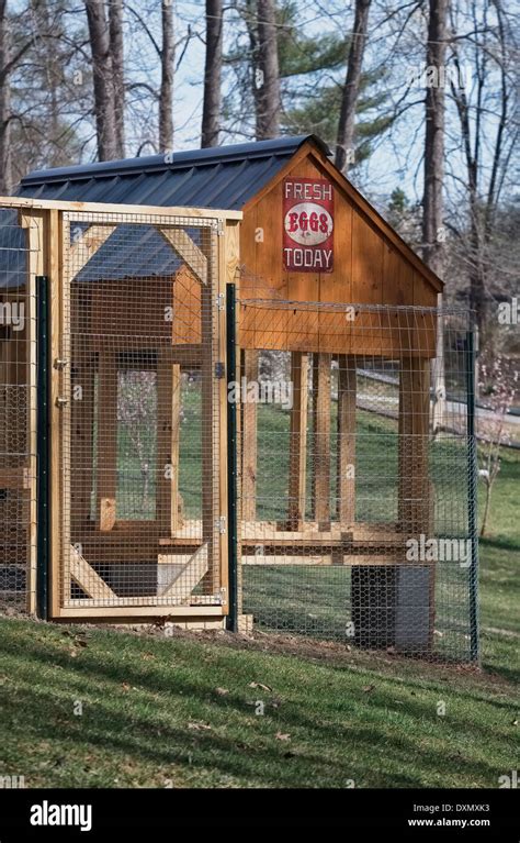 backyard chicken coop Stock Photo - Alamy