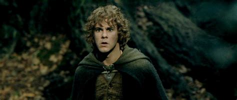 Meriadoc Brandybuck - Meriadoc Brandybuck Image (11947178) - Fanpop