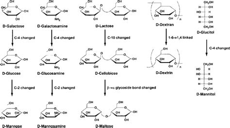 Saccharide structures and their relationships. | Download Scientific ...