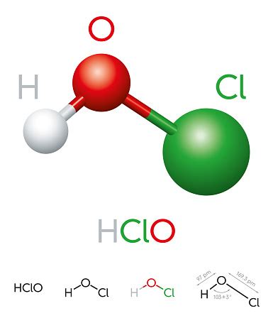 Hclo Hypochlorous Acid Molecule Model And Chemical Formula Stock ...