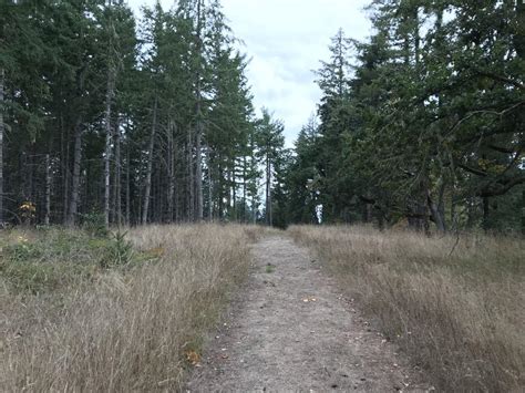 Mid-Willamette Valley hiking trails we love