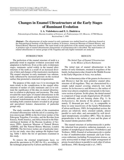 (PDF) Changes in Enamel Ultrastructure at the Early Stages of Ruminant Evolution