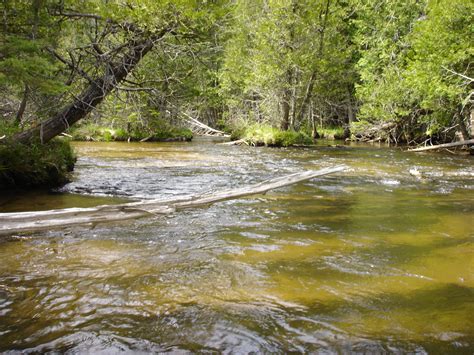 Boyne River - Tip of the Mitt Watershed Council