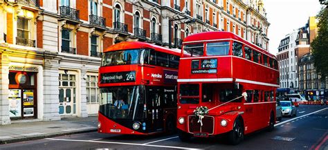 The Original Sightseeing Bus Tour