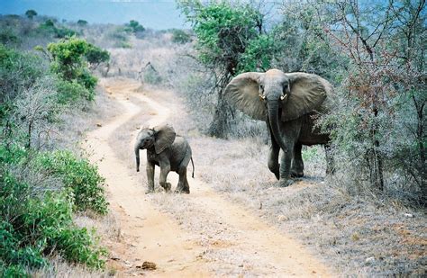 10 Most Beautiful and Interesting Places To Visit in Kenya