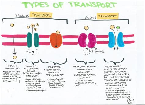 Cell Biology Study Guides | Study biology, Cell biology, Biology study