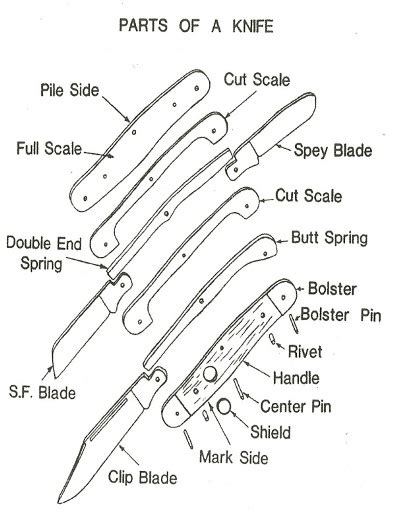 Parts of a Pocket Knife – Knife Information