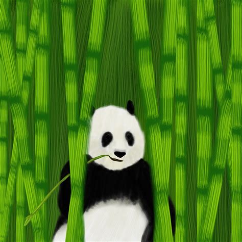 Panda And Bamboo Art