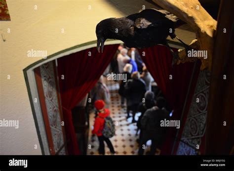 An interior of the Cochem Castle, Germany Stock Photo - Alamy