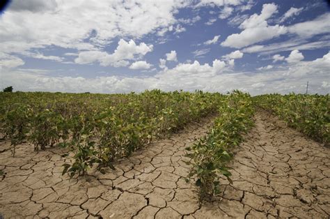 Five Facts About the United States Drought Monitor | Farmers.gov