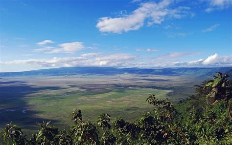 Ngorongoro Conservation Area | | Alluring World