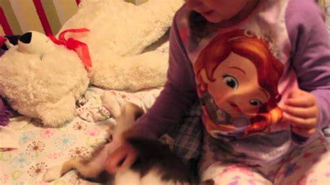 Christmas Puppy Surprise - YouTube