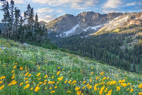 Wasatch Mountains Utah Photograph by Douglas Pulsipher - Fine Art America