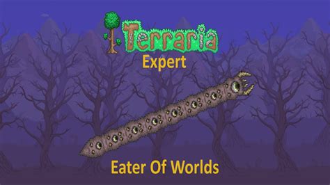 Terraria Expert Mode: Eater Of Worlds Complete Guide! - YouTube