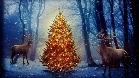 Download 3840x2160 Wallpaper Christmas and Holiday Season, Forest ...