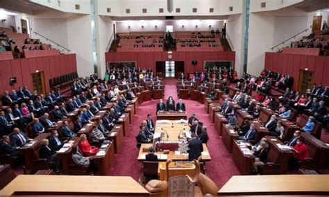 Australian parliament 101: your questions about key words and processes ...