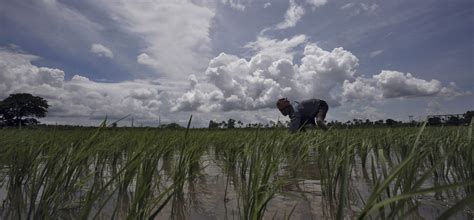 Monsoons Just Around The Corner, Above Average Rainfall To Bring Relief ...