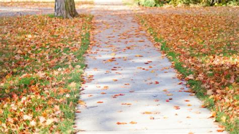 Why Have Concrete Repair Performed on Your Sidewalks - GFP Cement ...